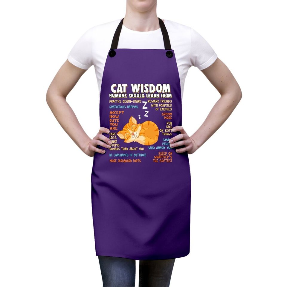 Cat Wisdom Human Should Learn From Apron