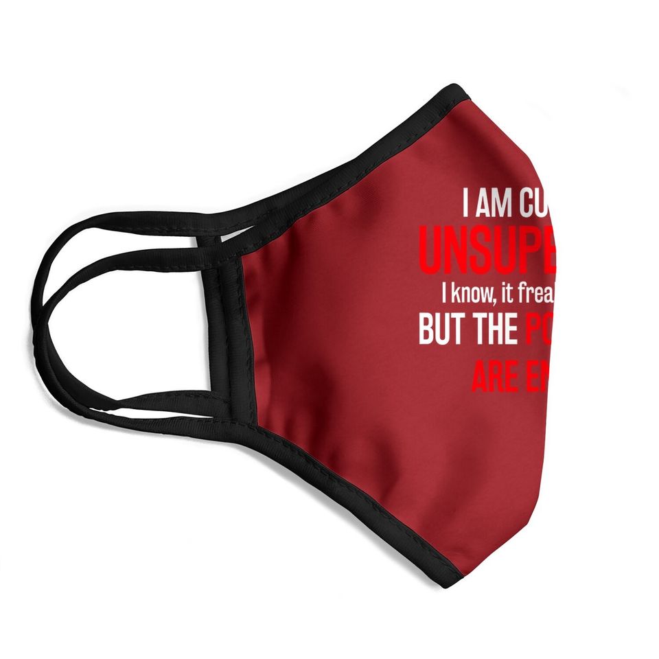 I Am Currently Unsupervised Face Mask