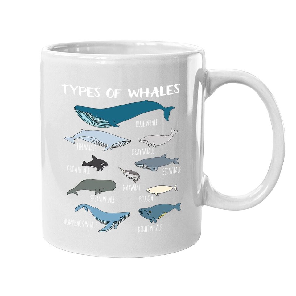 Types Of Whales Cute Ocean Mammals Guide Coffee Mug
