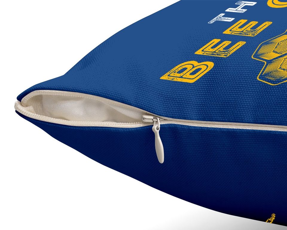 The Bee Guy - Bee Lover Beekeeping & Beekeeper Throw Pillow