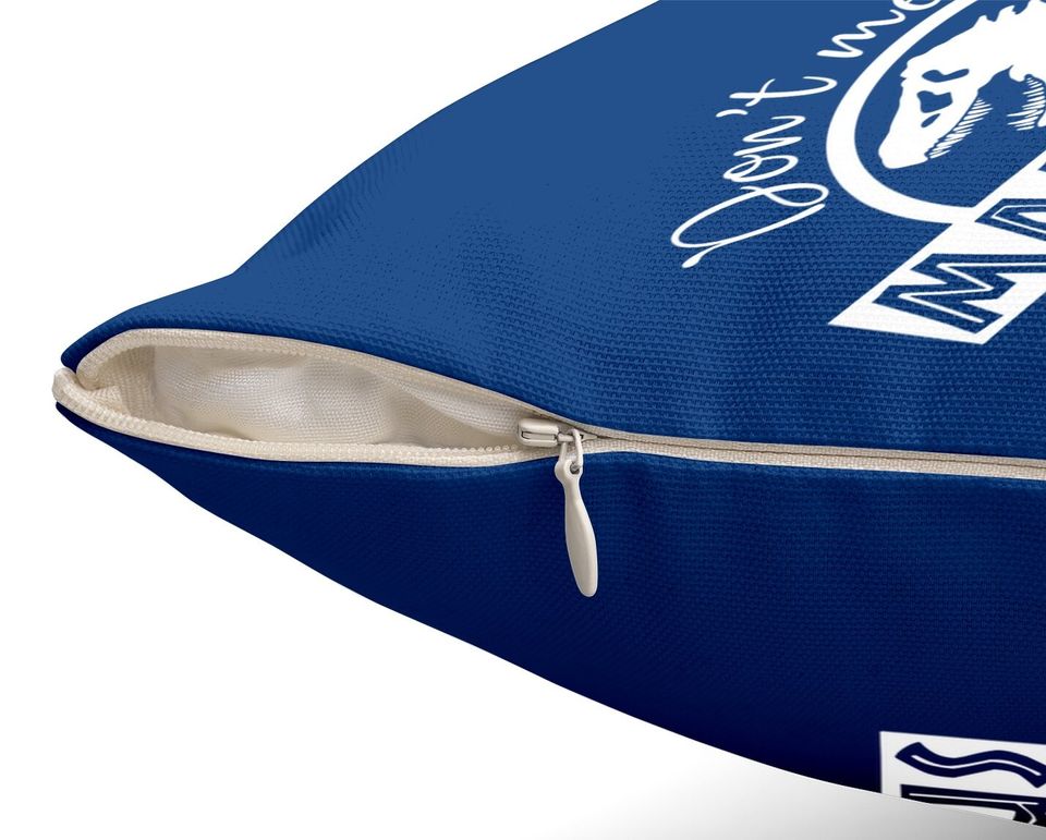 Dont Mess With Mamasaurus Youll Get Jurasskicked Throw Pillow