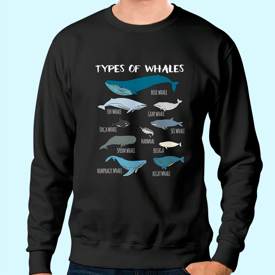 Types Of Whales Cute Ocean Mammals Guide Sweatshirt