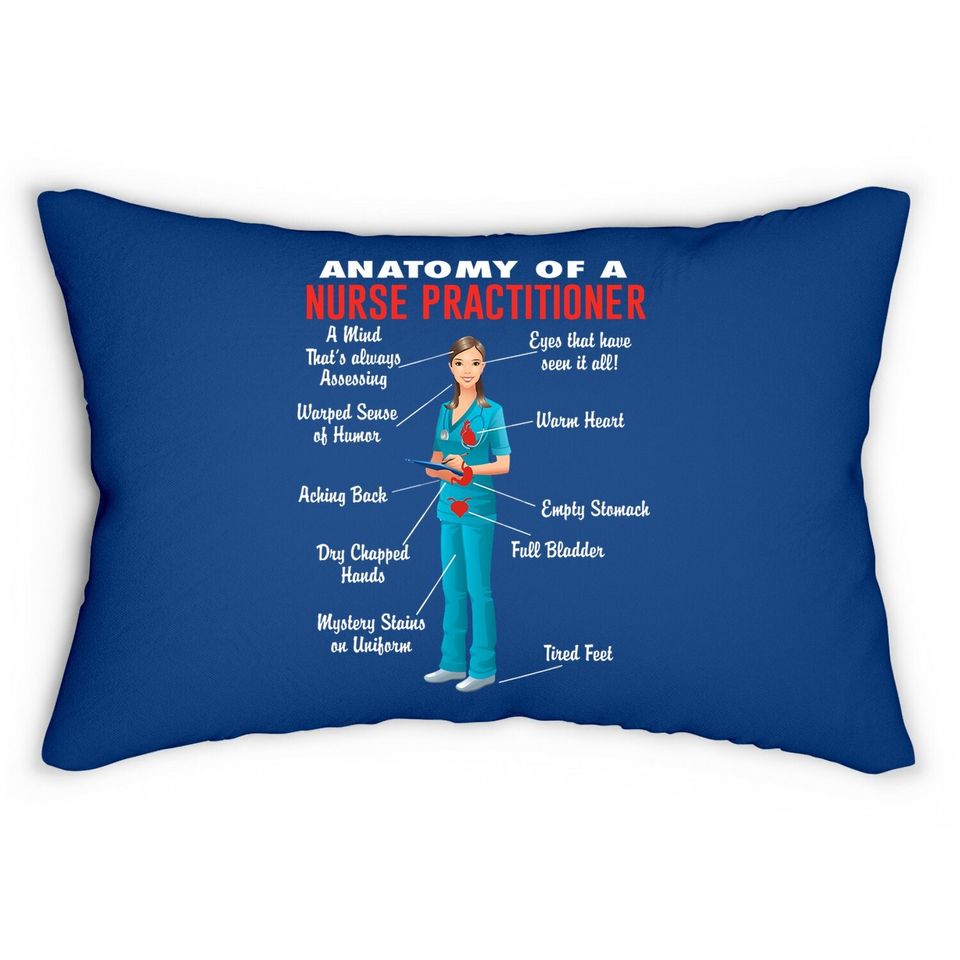 Anatomy Of A Nurse Practitioner Nurse Practitioner Lumbar Pillow
