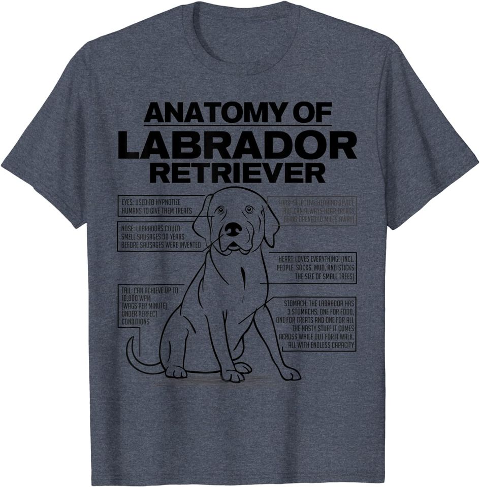 Anatomy Of A Labrador Retriever Long Sleeves