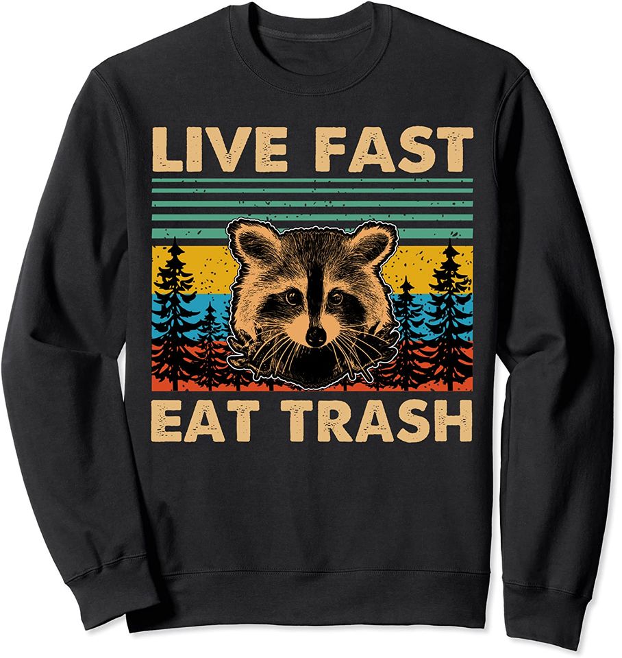 Live Fast Eat Trash Raccoon Camping Vintage Sweatshirt
