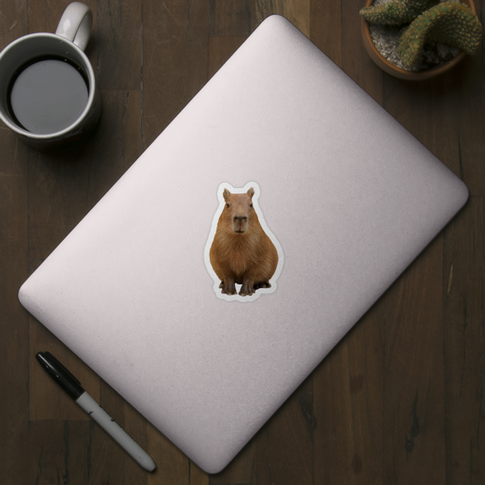 Capybara - Capybara - Sticker