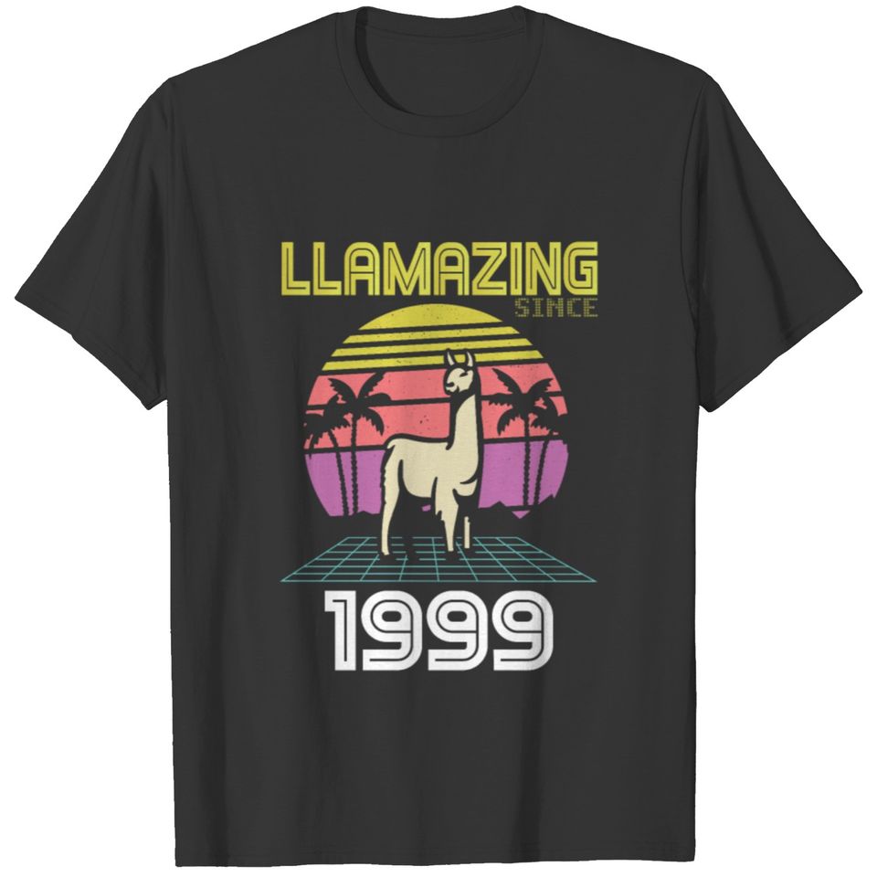 Llamazing Since Born 1999 Birthday 22 Years Gift T-shirt