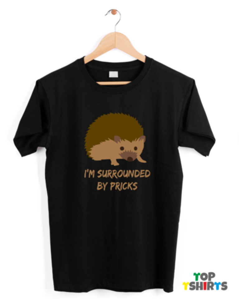I'm Surrounded by Pricks Funny Hedgehog T Shirt