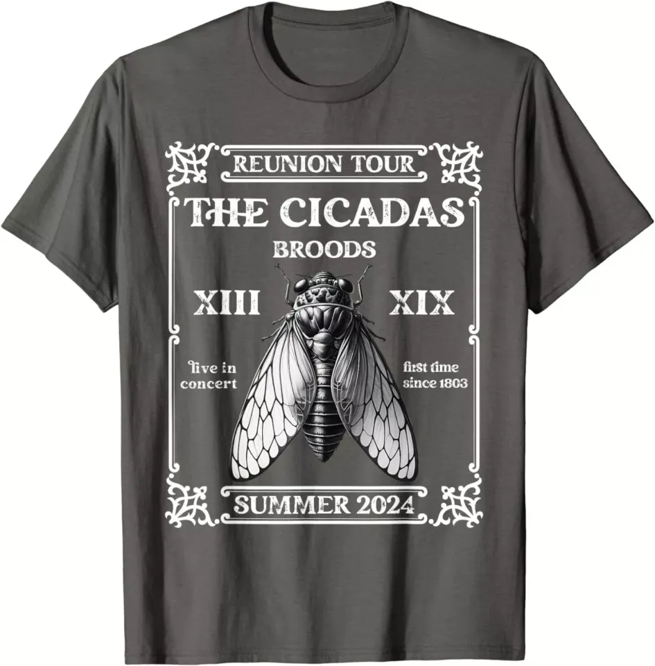 Cicadas Swarm Reunion Tour Brood XIII XIX Summer Cicada 2024 T-Shirt