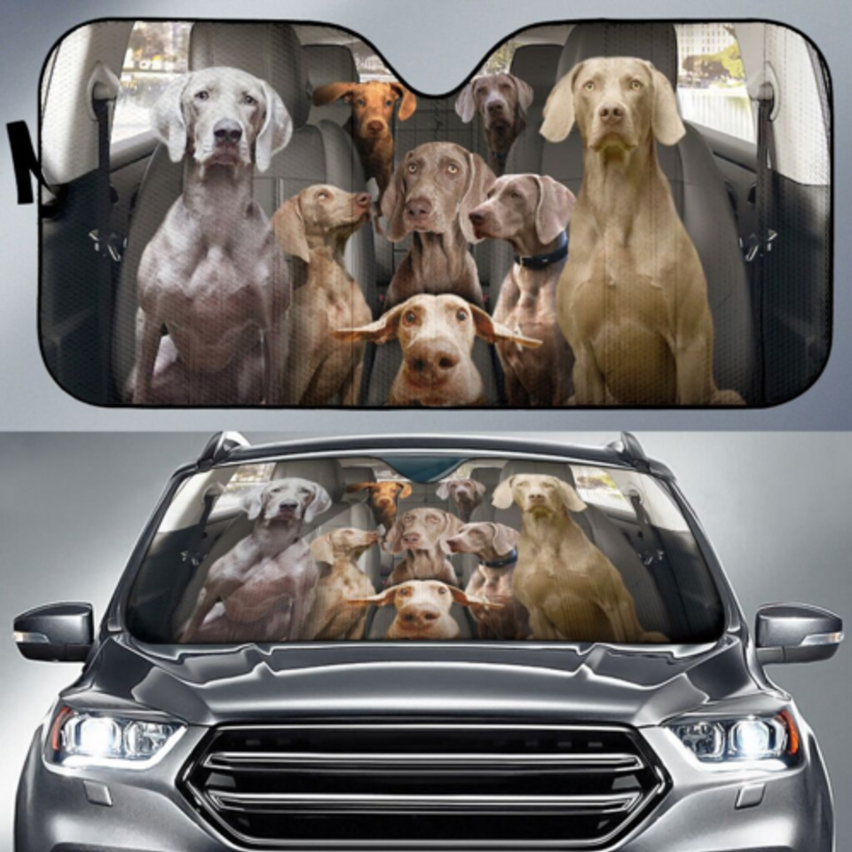 Weimaraner Dog Family Go On A Trip Dog Lovers Car Windshield Sun Shade