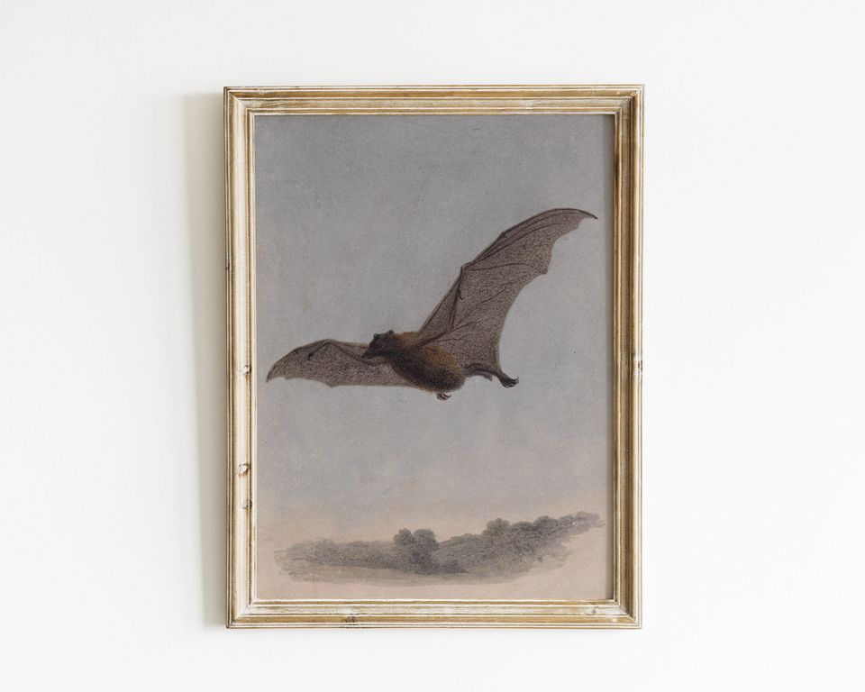 bat wall art | vintage halloween decor | halloween wall art | dark art | dark academia decor | gothic decor