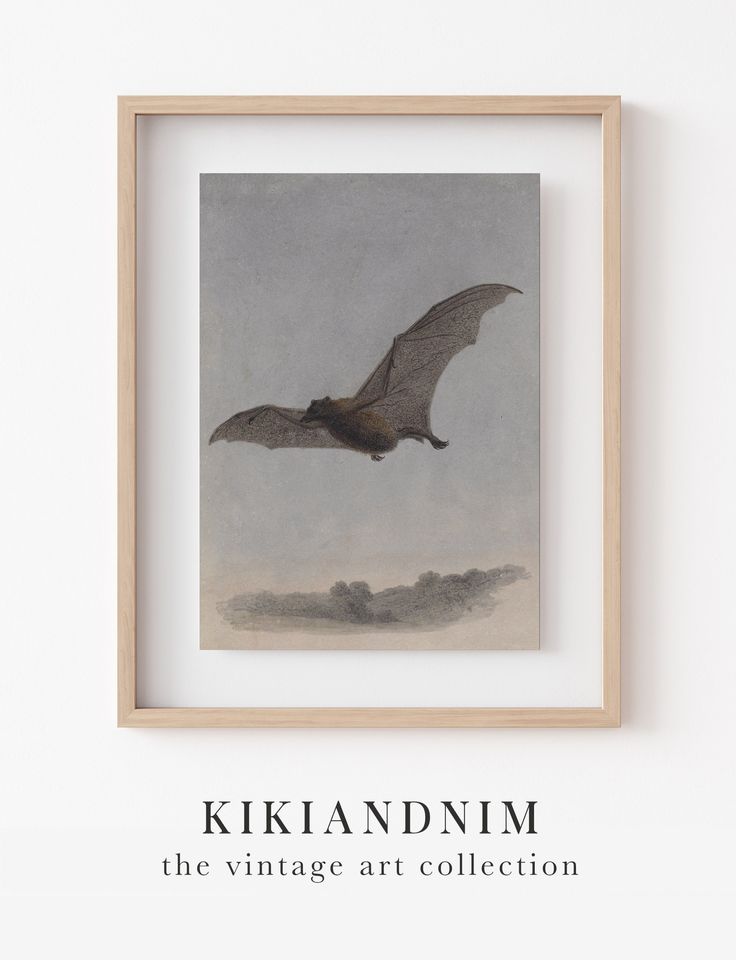 bat wall art | vintage halloween decor | halloween wall art | dark art | dark academia decor | gothic decor