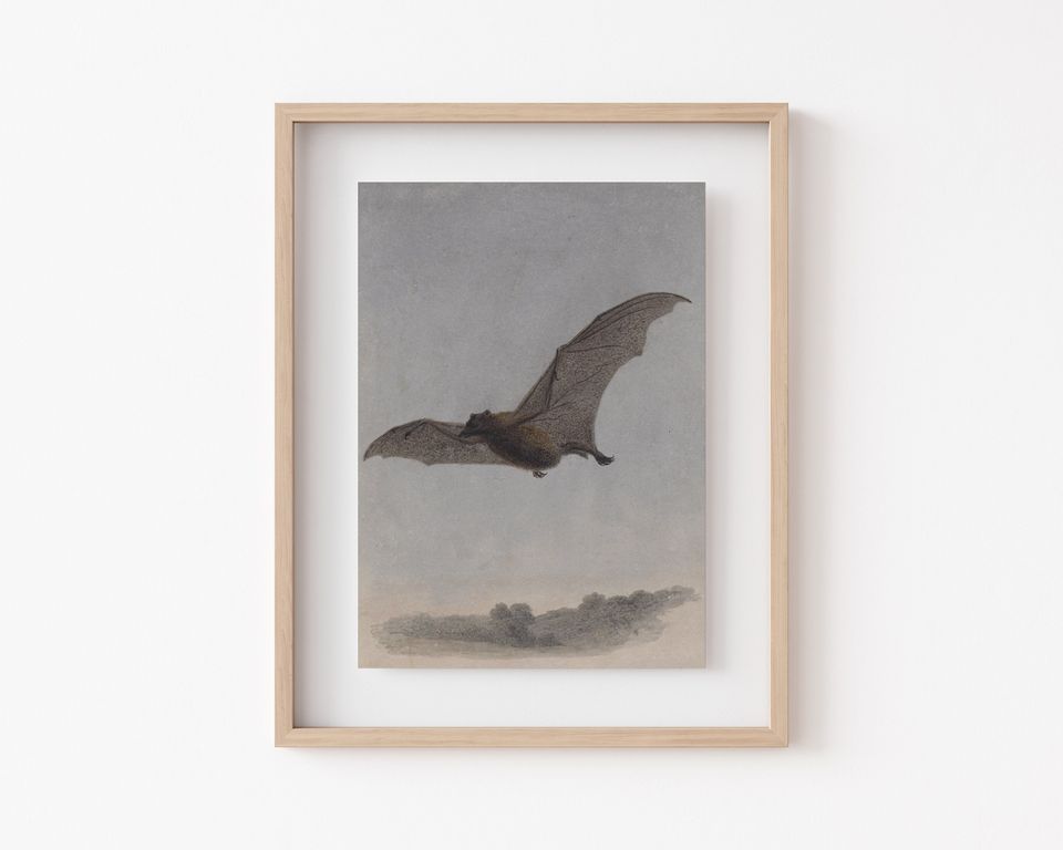bat wall art | vintage halloween decor | halloween wall art | dark art | dark academia decor | gothic decor