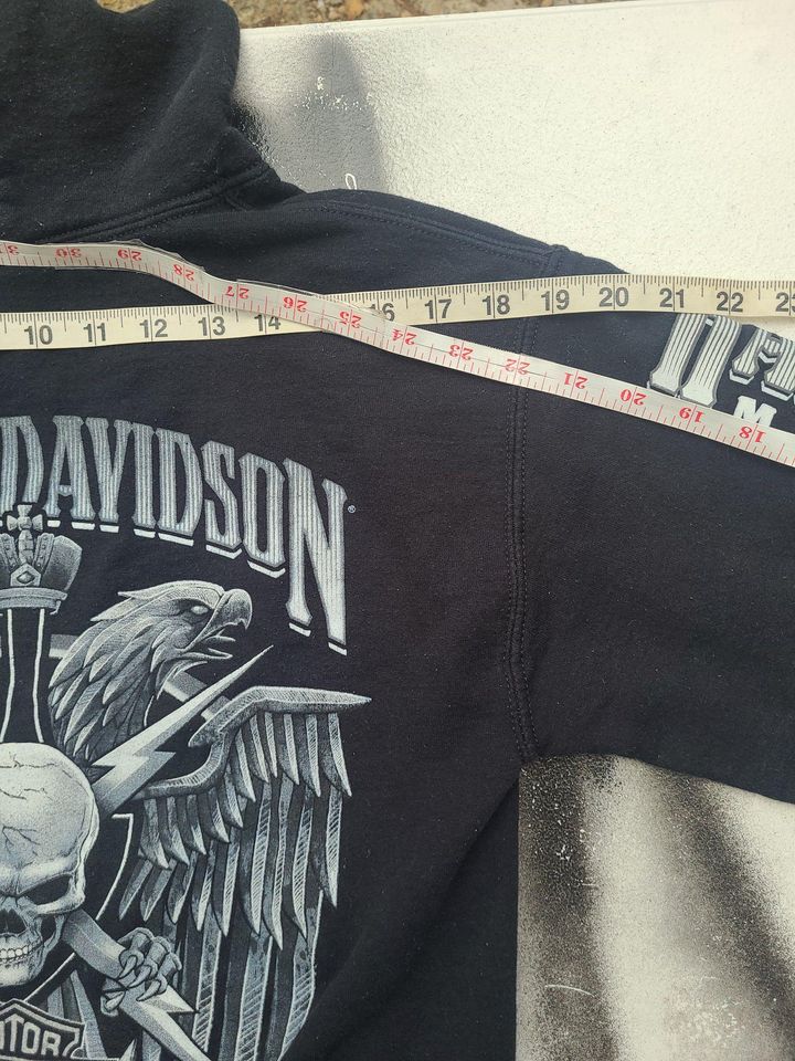 Vintage Haarleyy Davidson Wisconsin Hoodie