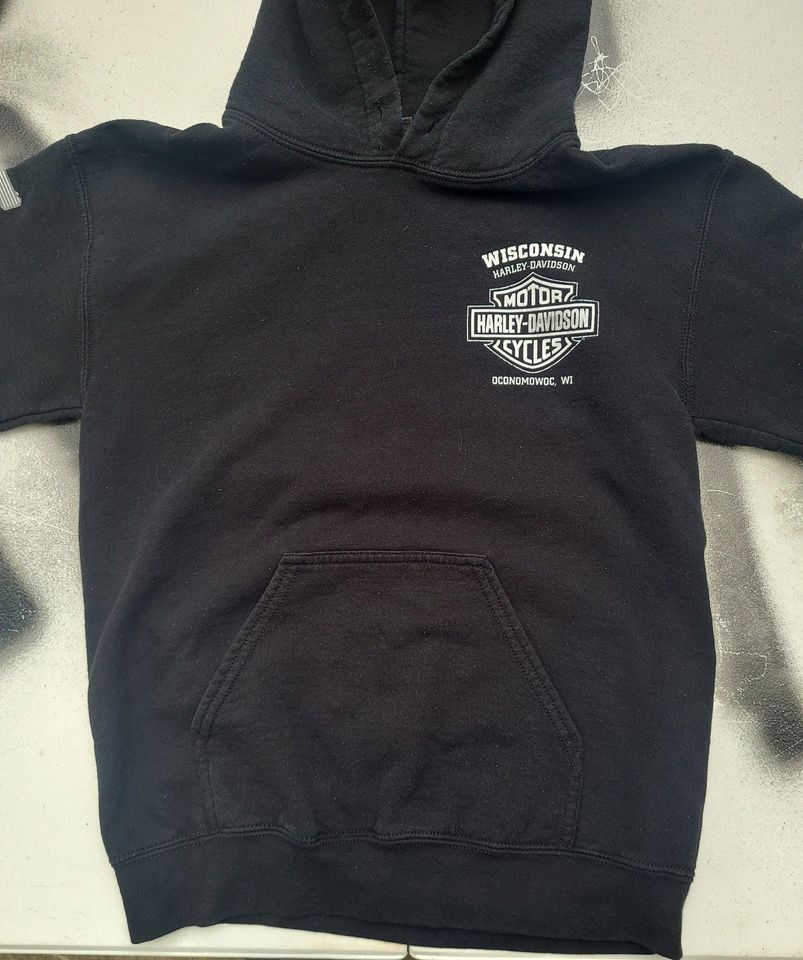 Vintage Haarleyy Davidson Wisconsin Hoodie