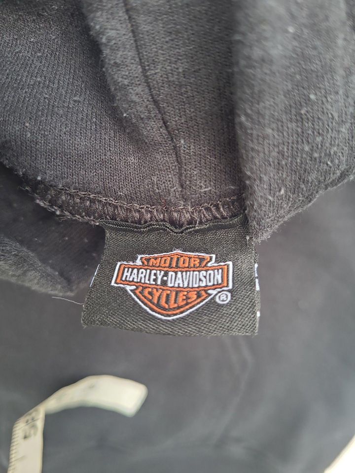 Vintage Haarleyy Davidson Wisconsin Hoodie