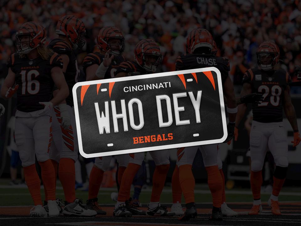 Cincinnati Bengals License Plate | Car Accessories