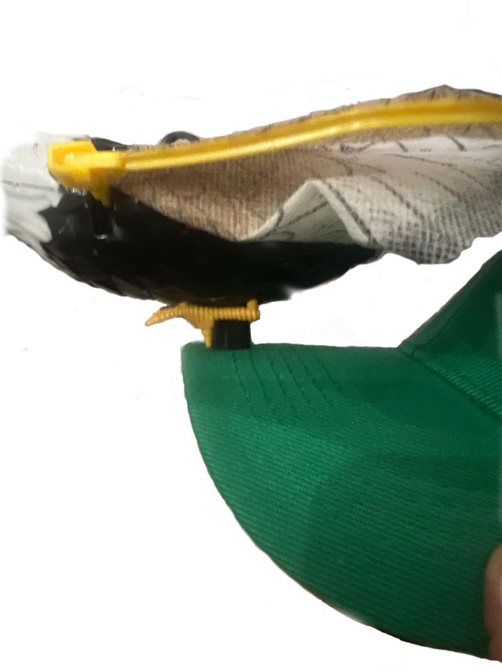 Philadelphia Eagles Flapping Hat
