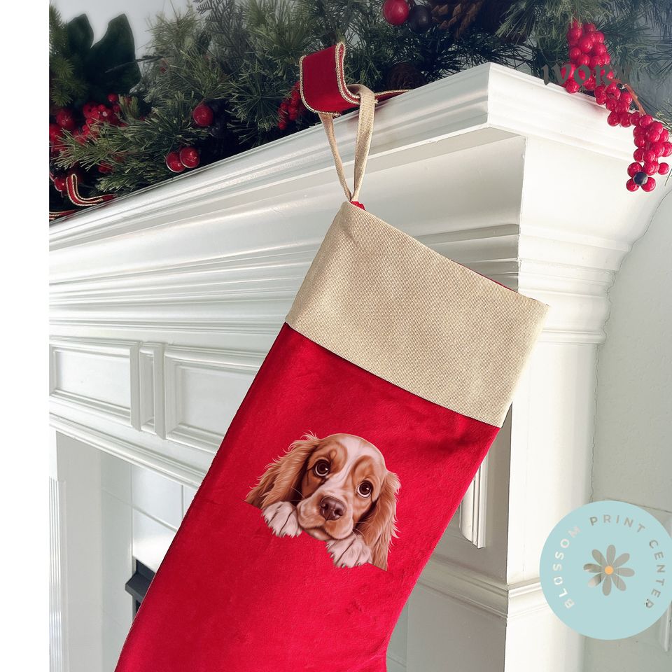 Personalized dog stocking, Disney Christmas Dog Breed Stocking