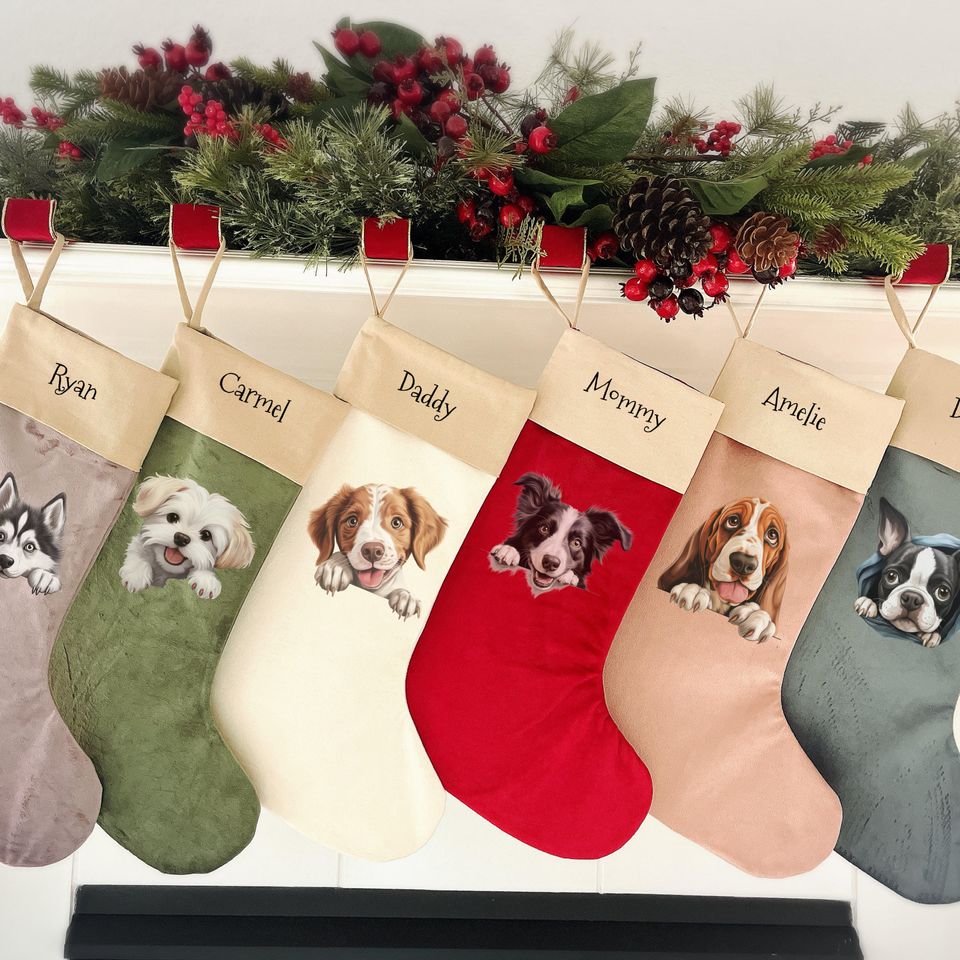 Personalized dog stocking, Disney Christmas Dog Breed Stocking