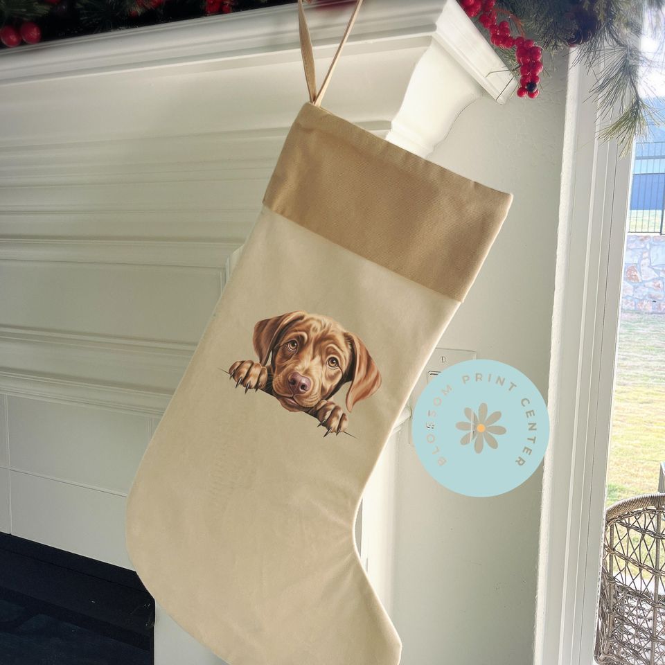 Personalized dog stocking, Disney Christmas Dog Breed Stocking
