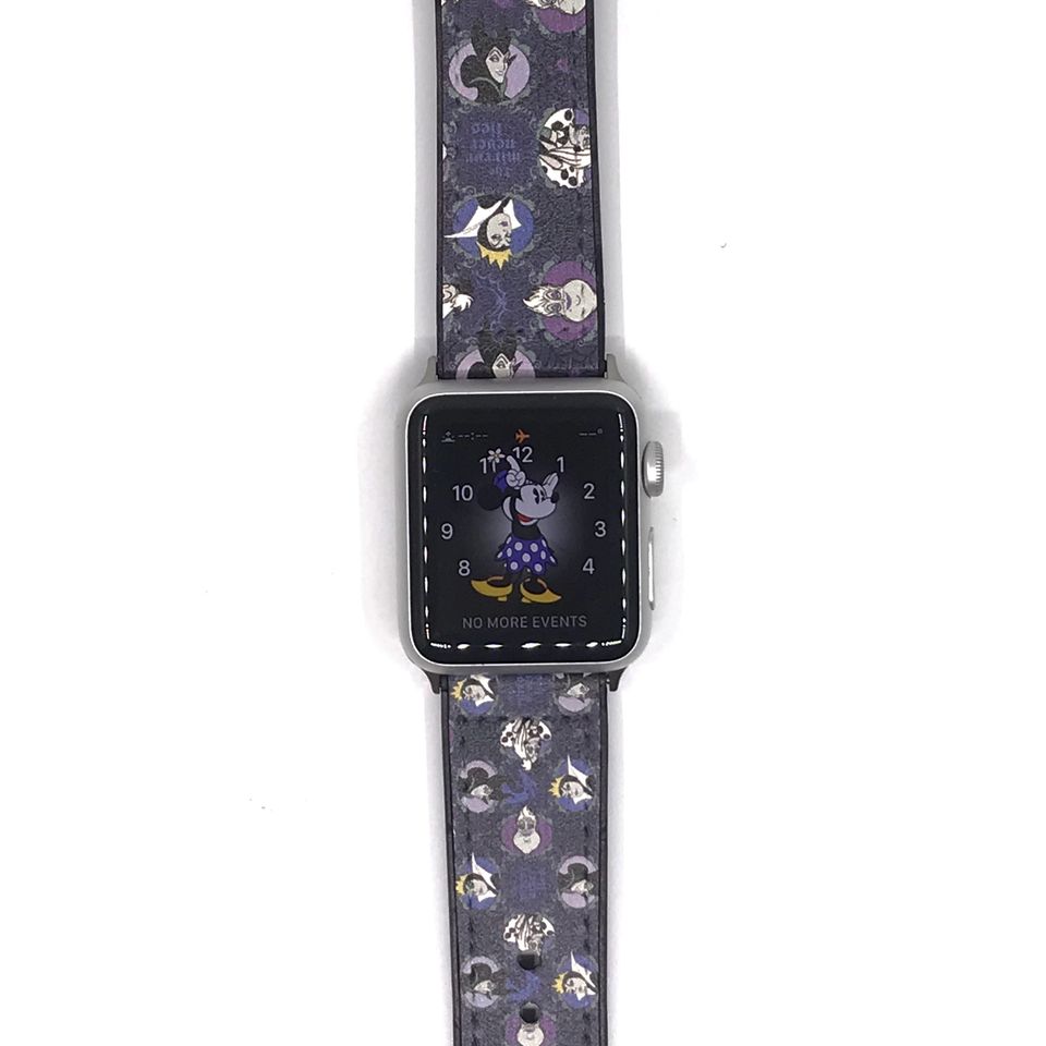 Theme Park Apple Watch Band