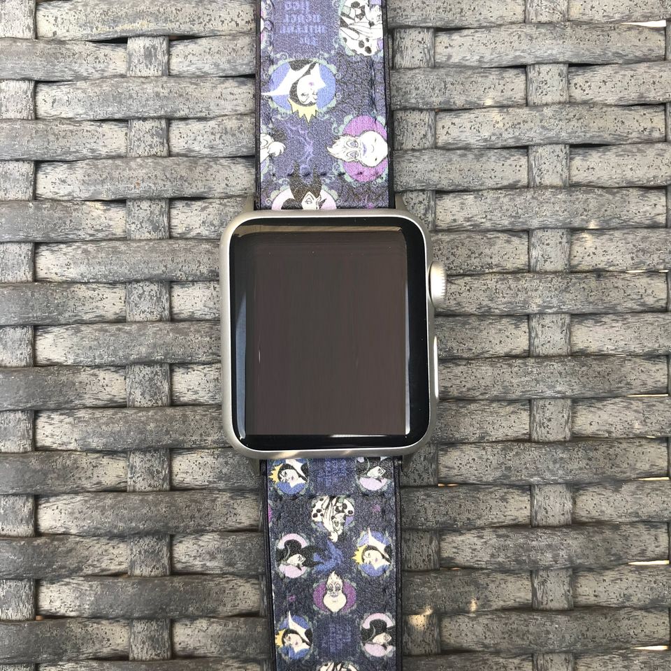 Theme Park Apple Watch Band