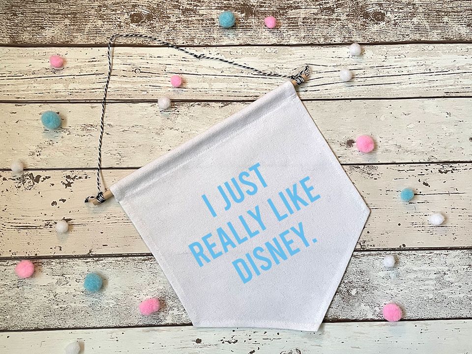 I just really like Disney Pennant Flag