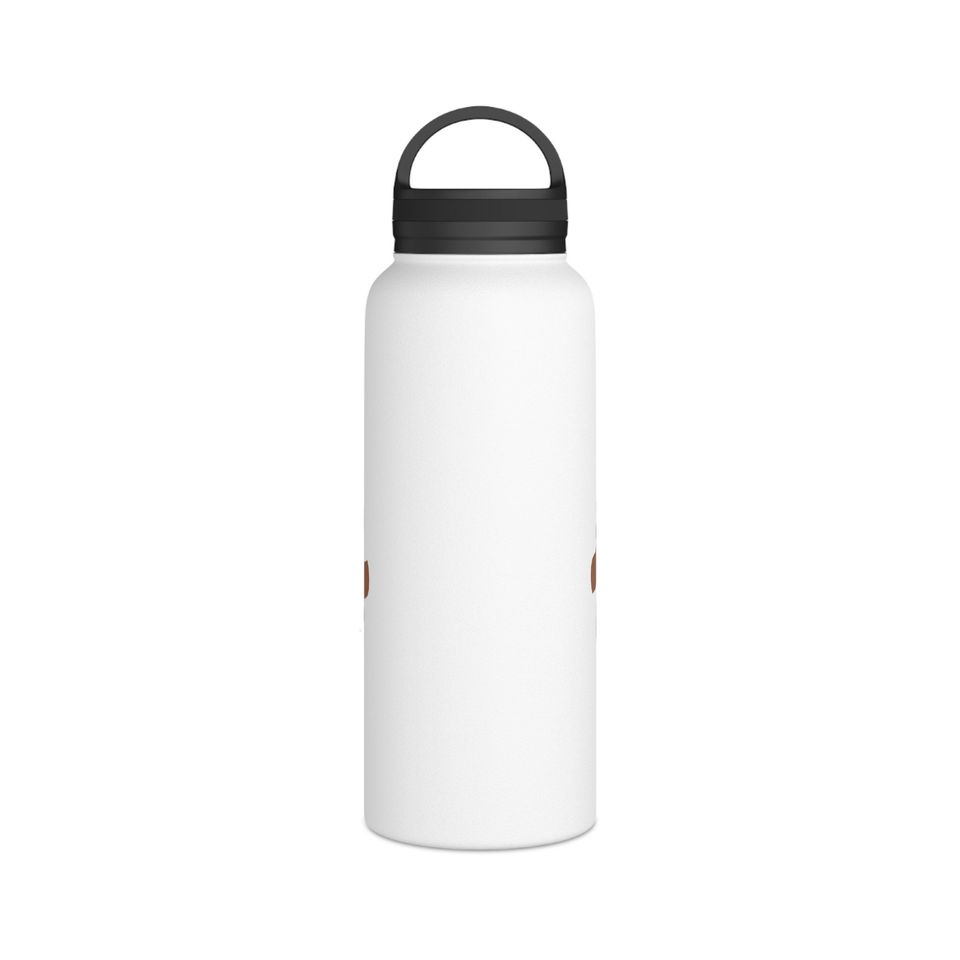 Projector Stainless Steel Water Bottle, Handle Lid, Rust