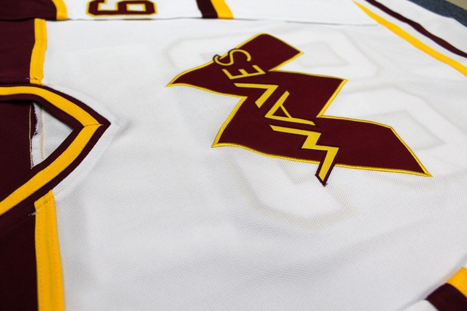Mighty Gordon Bombay #66 Waves Hockey Jersey White Custom Names;Personalized Hockey Jersey Cosplay