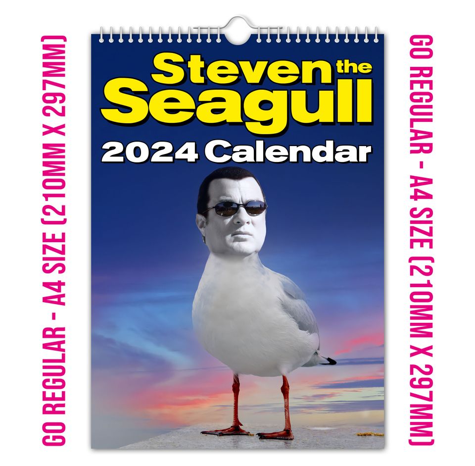 Steven 'THE' Seagull - 2024 Wall Calendar, Funny, Gift Idea, Present, Novelty, Humour