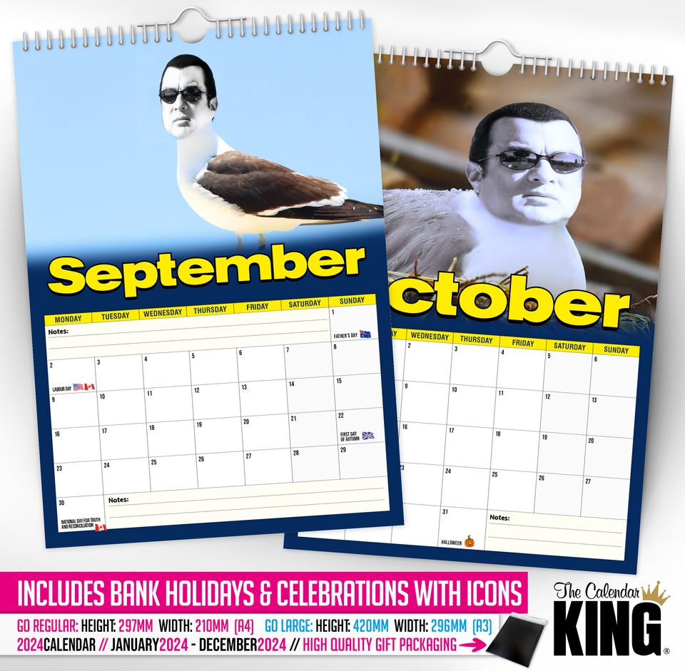 Steven 'THE' Seagull - 2024 Wall Calendar, Funny, Gift Idea, Present, Novelty, Humour