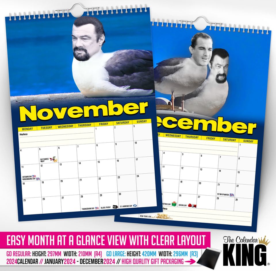 Steven 'THE' Seagull - 2024 Wall Calendar, Funny, Gift Idea, Present, Novelty, Humour