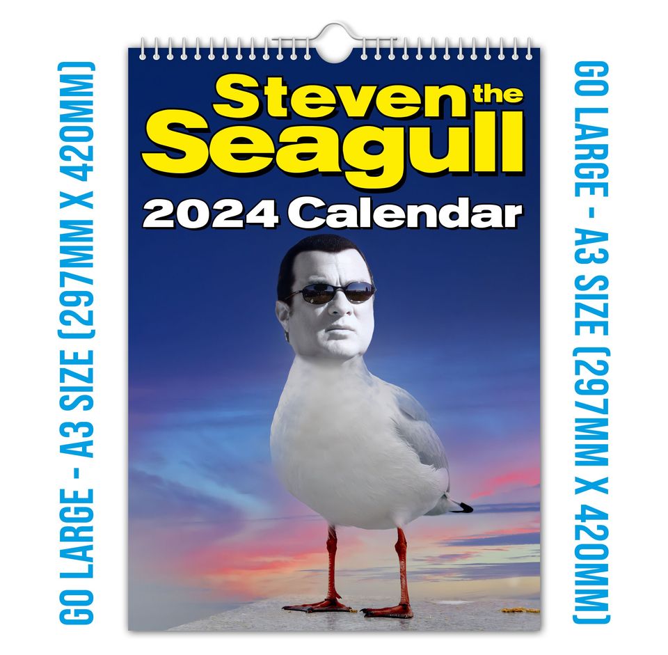 Steven 'THE' Seagull - 2024 Wall Calendar, Funny, Gift Idea, Present, Novelty, Humour