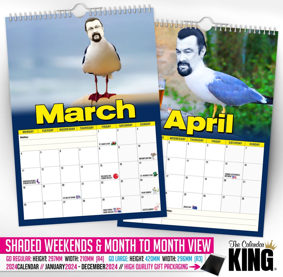 Steven 'THE' Seagull - 2024 Wall Calendar, Funny, Gift Idea, Present, Novelty, Humour
