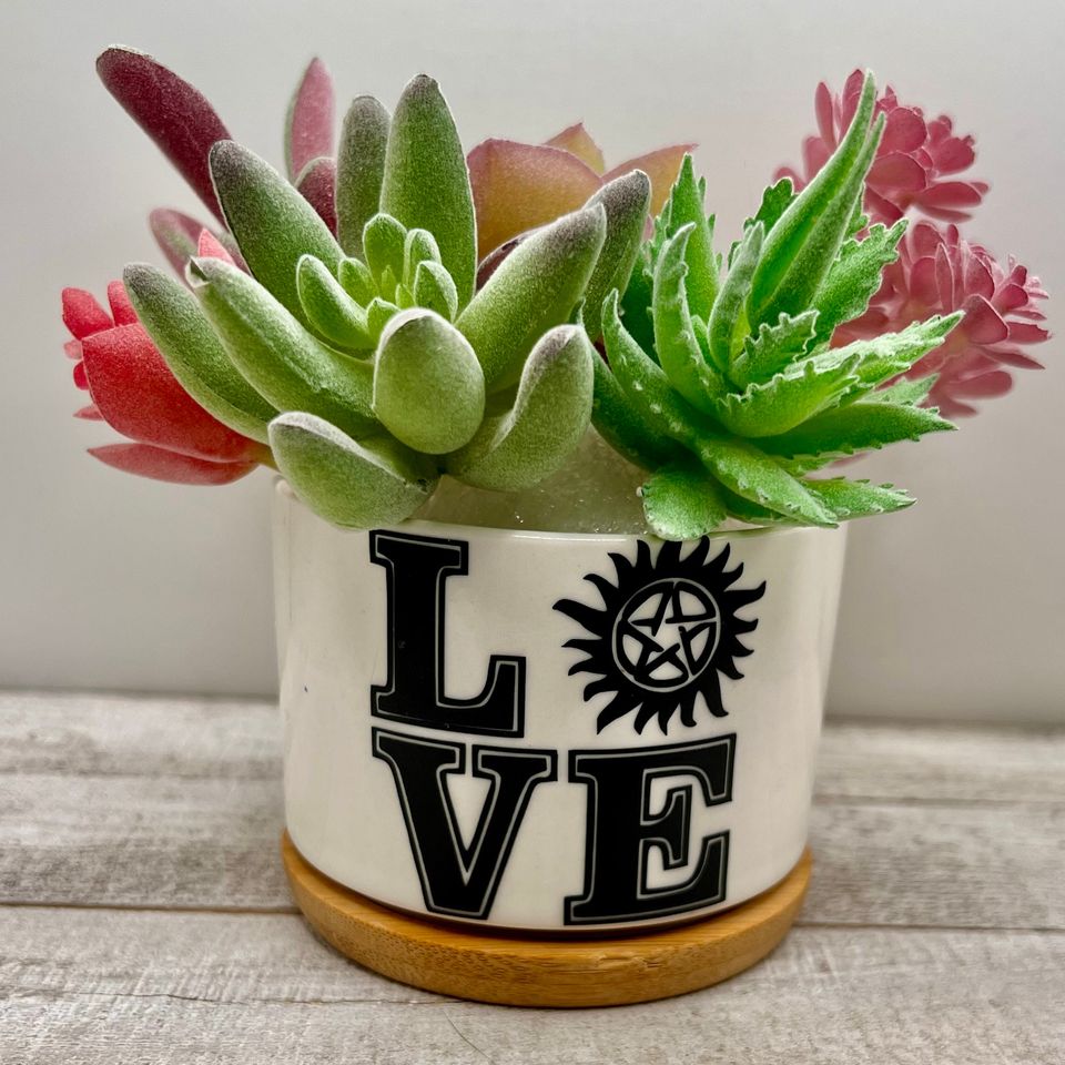 Supernatural Sam Dean Winchester Tattoo Inspired Plant Pot