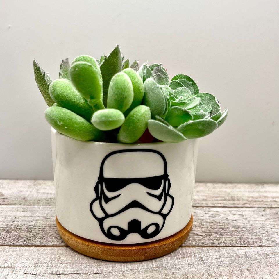 Stormtrooper Star Wars Inspired Plant Pot