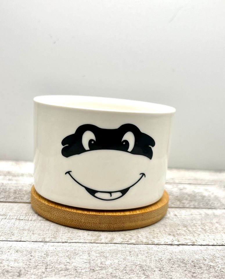 TMNT Ninja Turtles Inspired Plant Pot