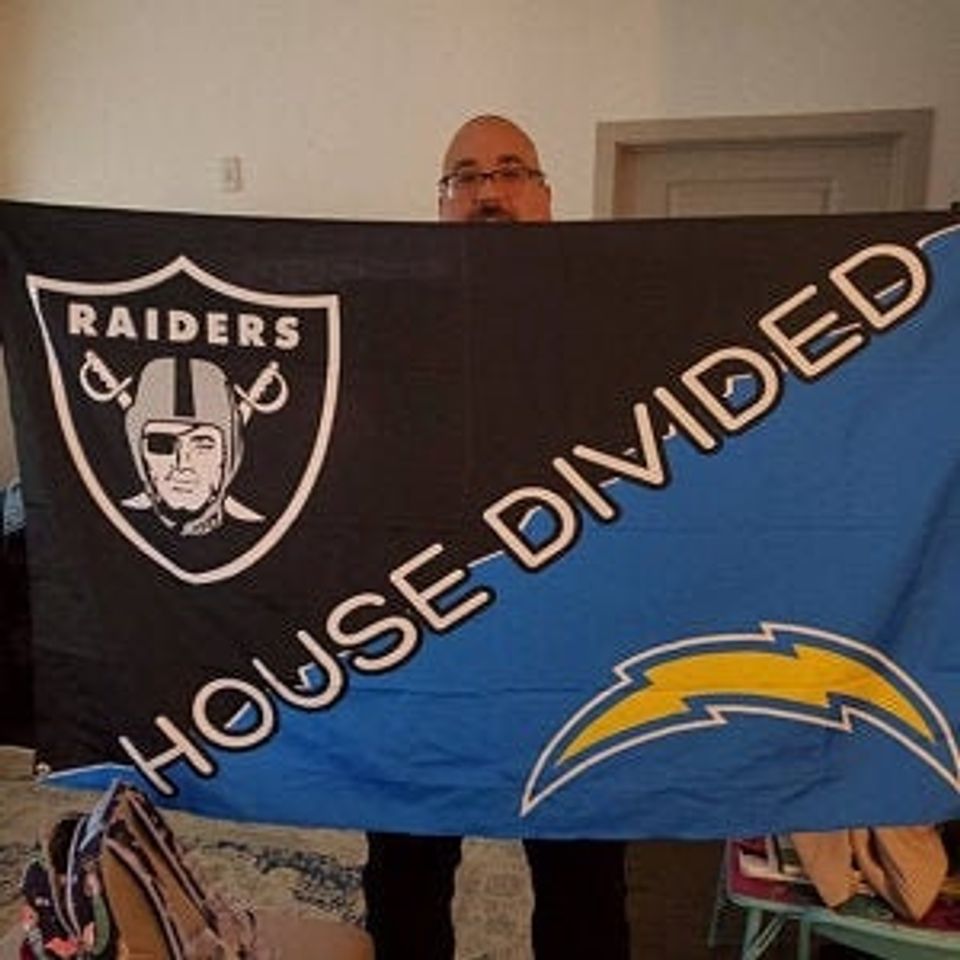 Disney Maleficent Garden Flag