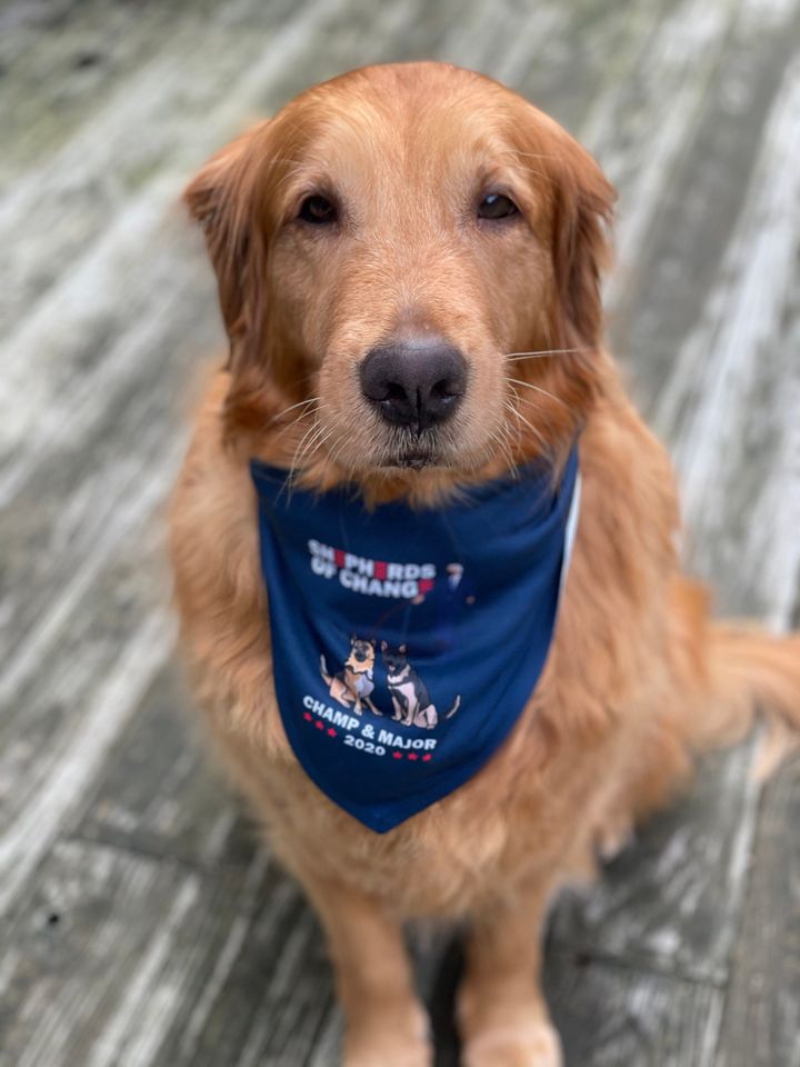 Champ & Major 2020 Dog Bandana