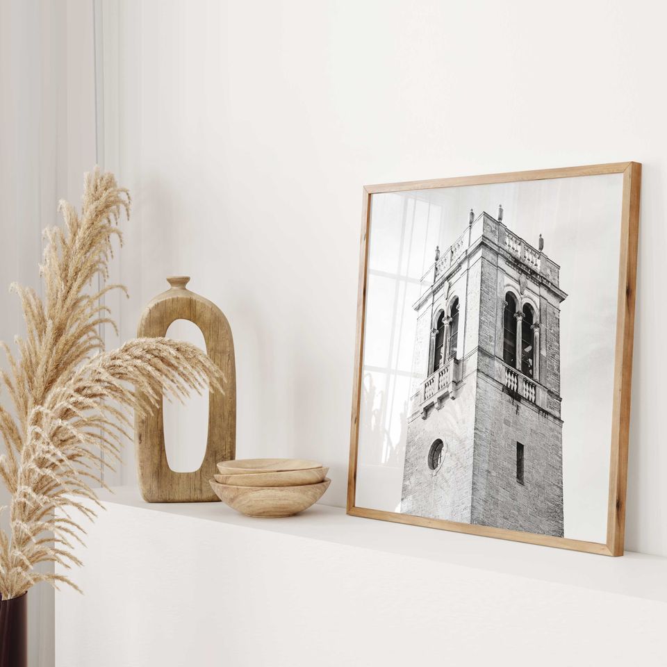 Madison Wisconsin Square Black and White Poster