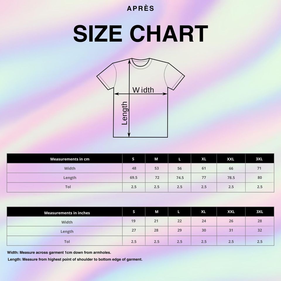 Jin Seokjin Tour T-Shirt - Kpop BTS Army Gift, Double Sided Jin Echo Tee