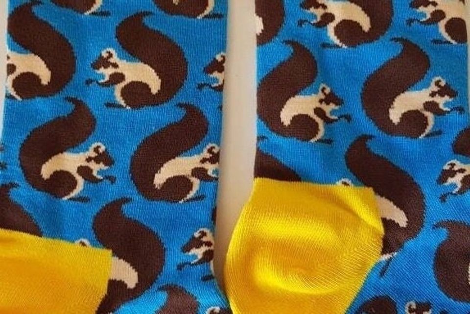Squirrel Socks, Unisex, Soft Combed