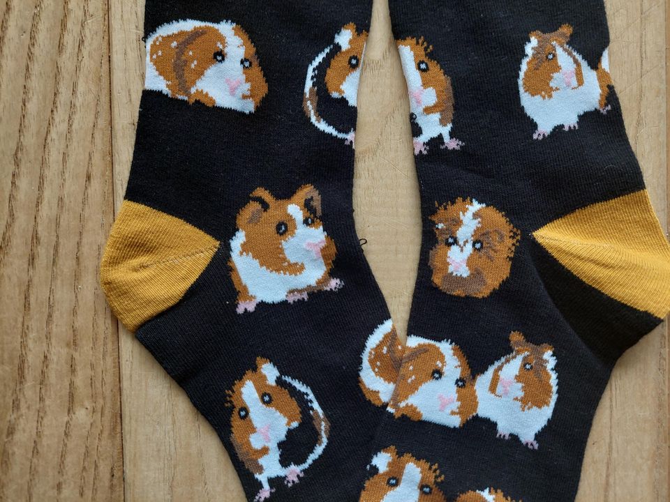 Guinea Pig Socks