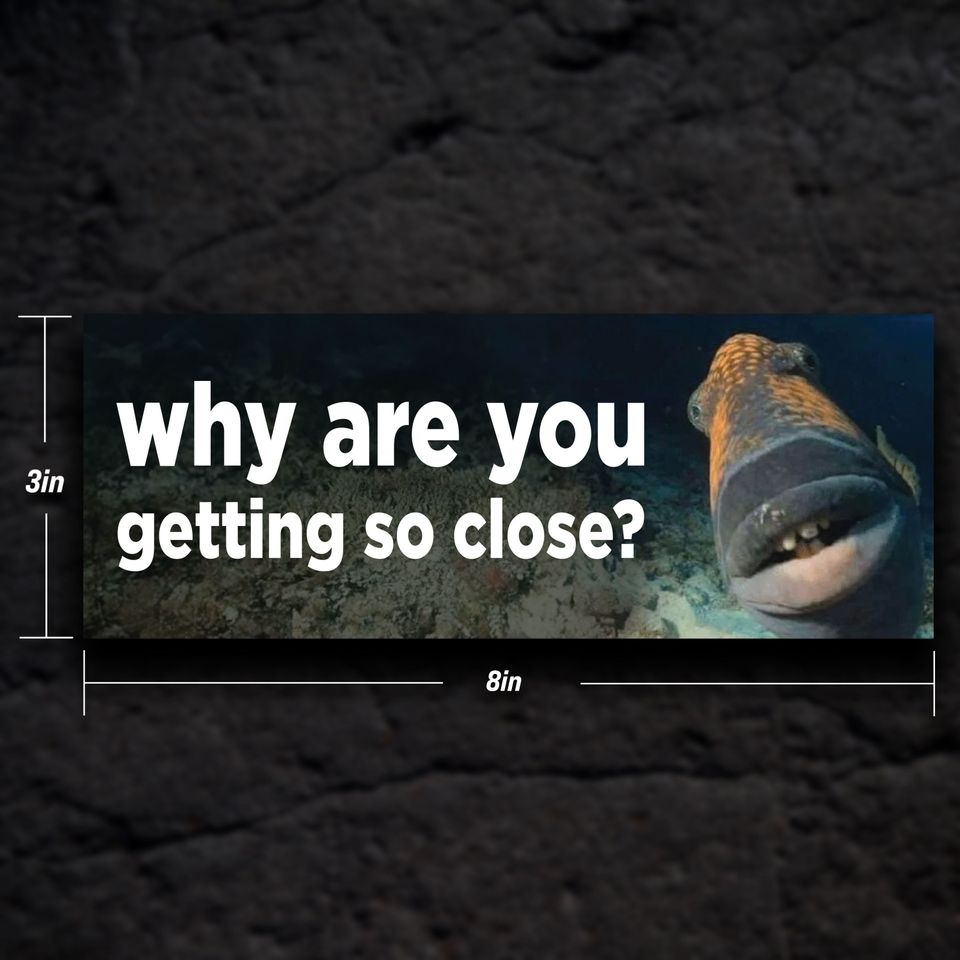Why Are You Getting So Close? Meme Bumper Sticker Water