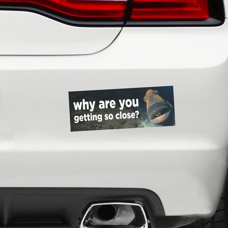 Why Are You Getting So Close? Meme Bumper Sticker Water