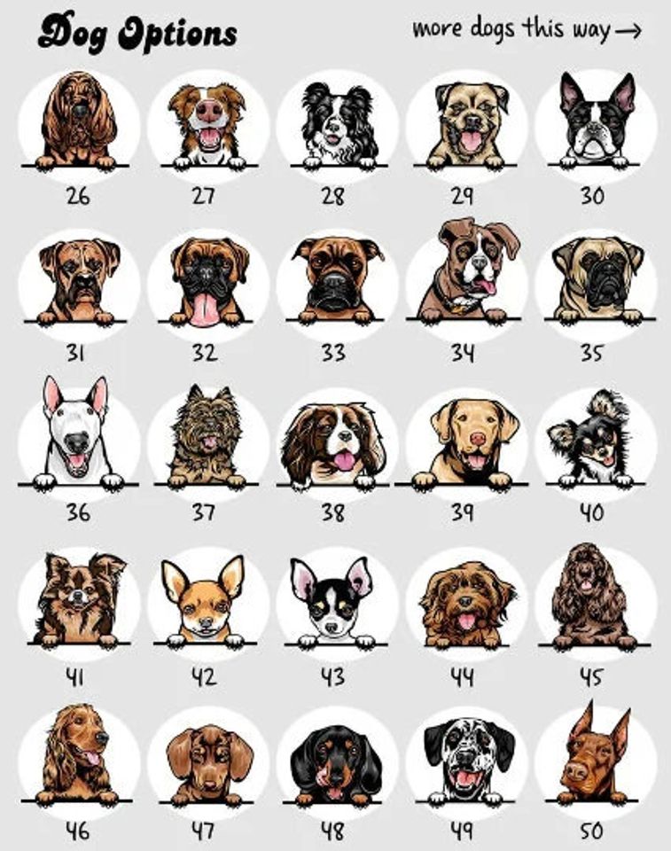 Ew People, Personalized Pet Leather Bag, Gift For Dog And Cat Lover