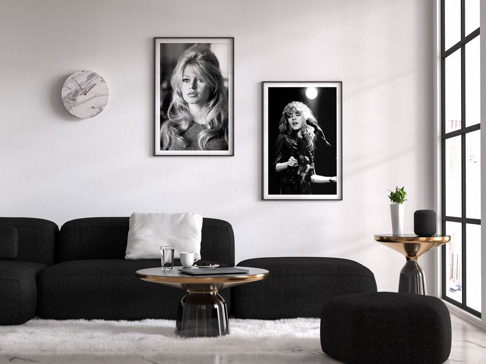 Young Stevie Nicks in Concert Poster