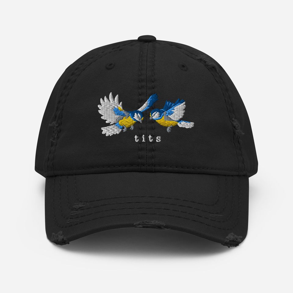 Embroidered Distressed Cap