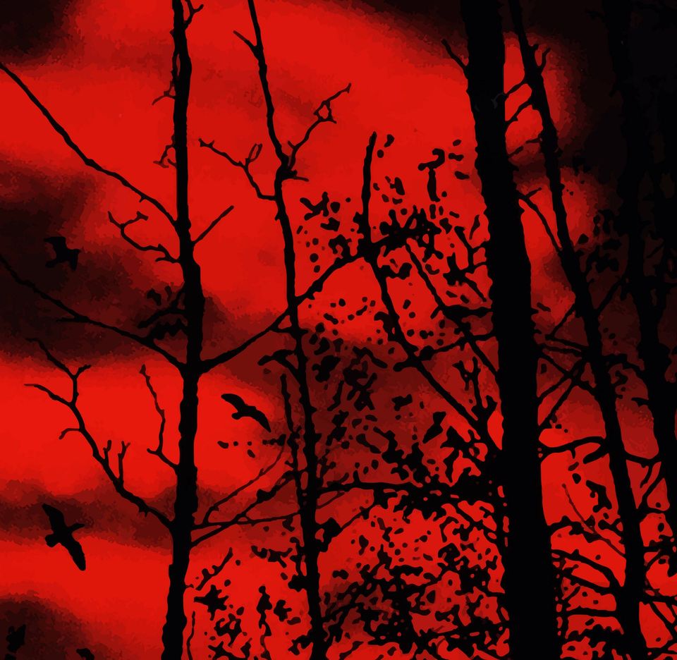 Poster Resident Evil 4 - Artwork Cover Capcom (2005) Poster